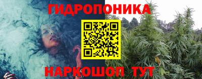 стаф Краснодар