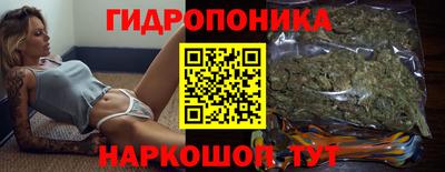 стаф Краснодар