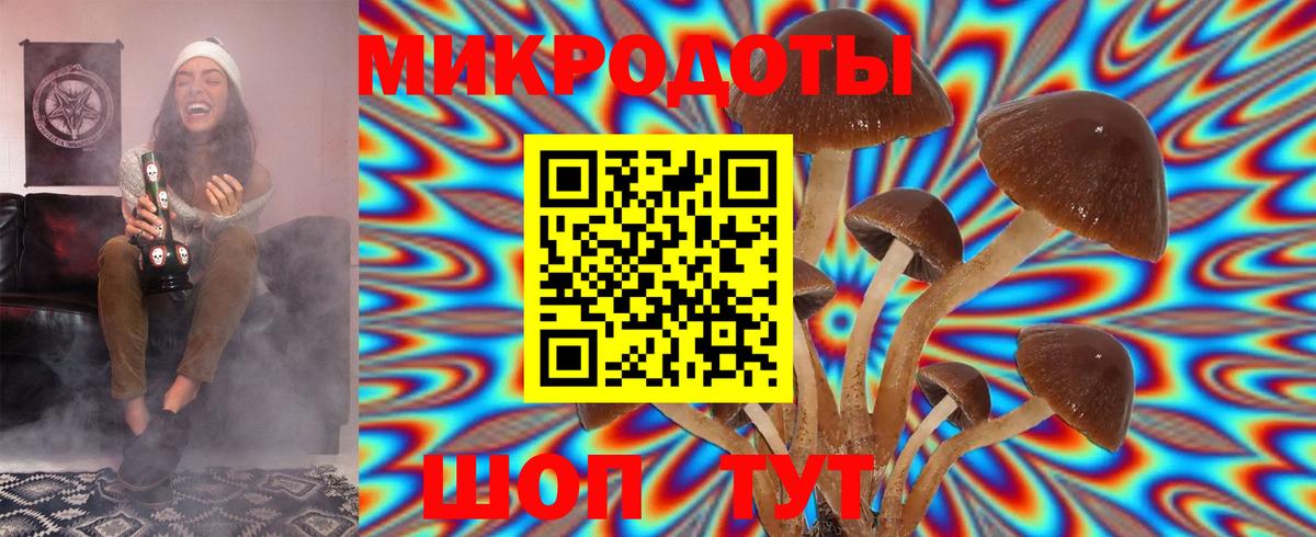 Псилоцибиновые грибы мухоморы  Галлюциногенные грибы Magic Shrooms  Вход с VPN  Звенигород 